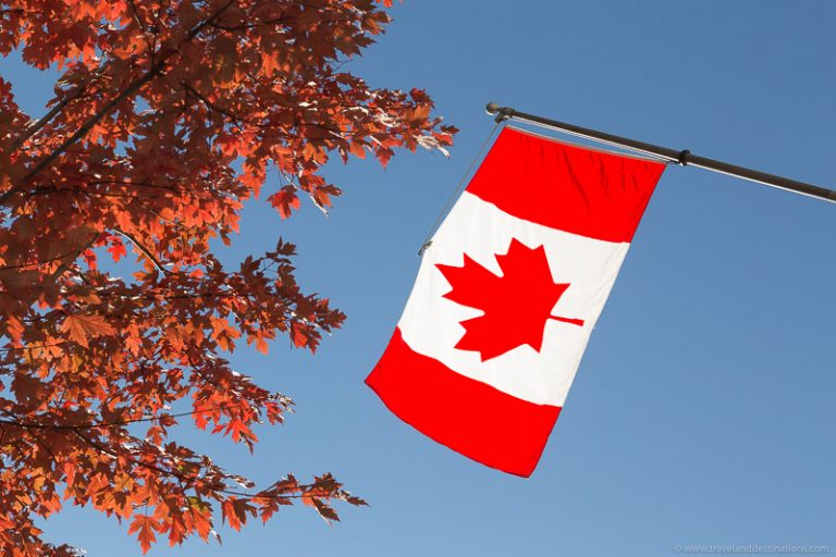 Canadian flag and trees